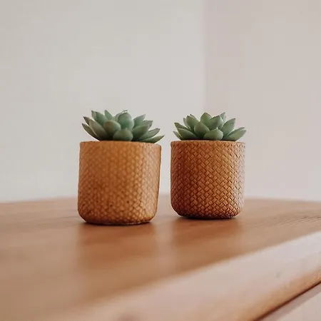 Gemuetliche Apartamento *